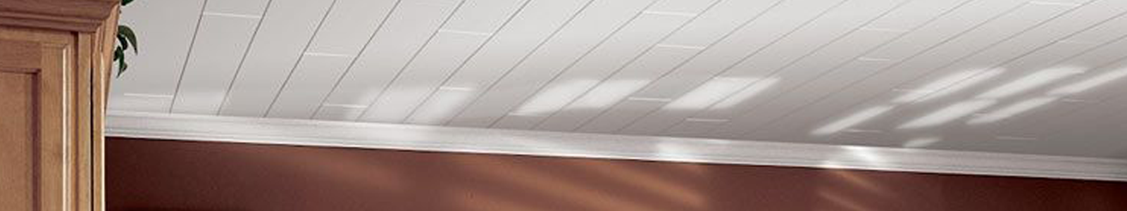 Construccion en seco, cielorraso pvc
